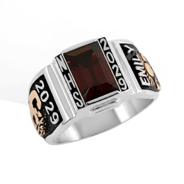 Collaborator Small Dual Metal